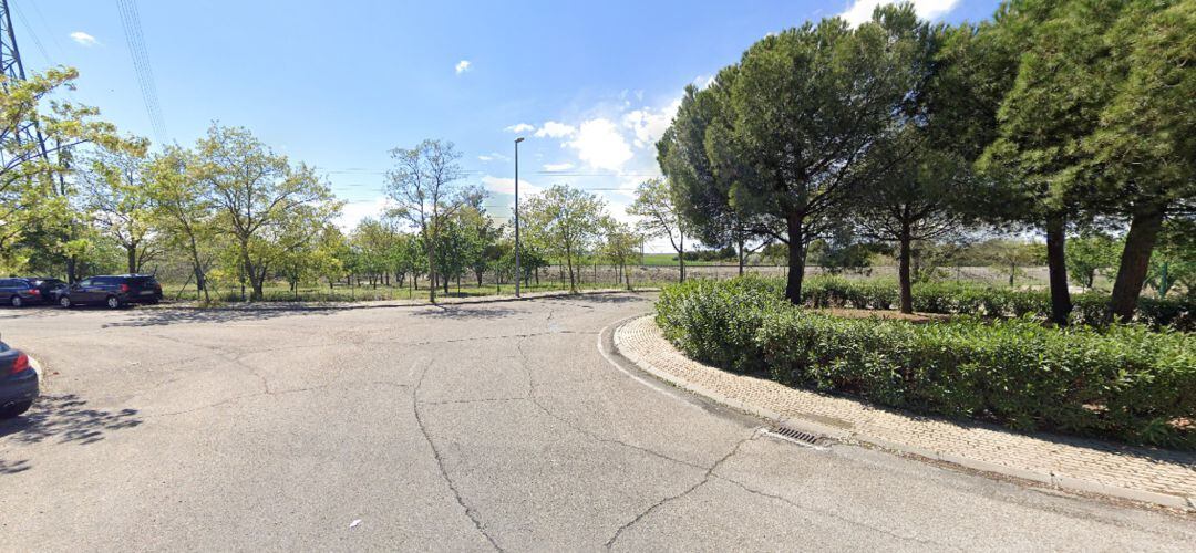 Zonas verdes a las afueras de Pinto