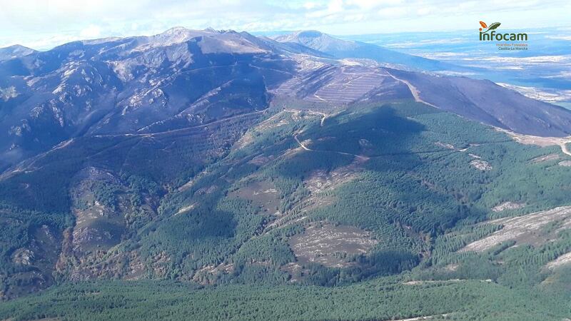 Zona afectada por el incendio