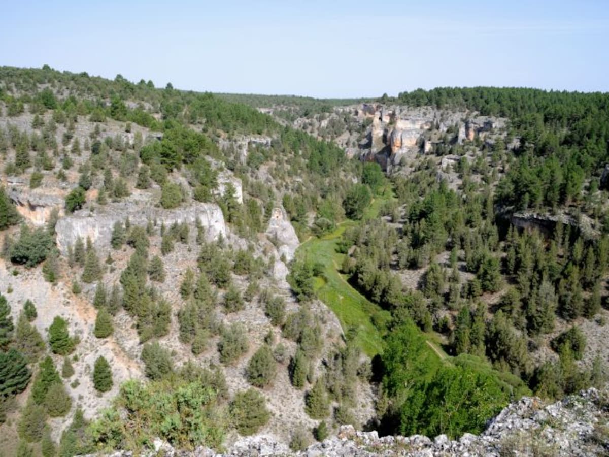 El proyecto ‘Reconecta’ de Asfoso llega a más de 740.000 personas