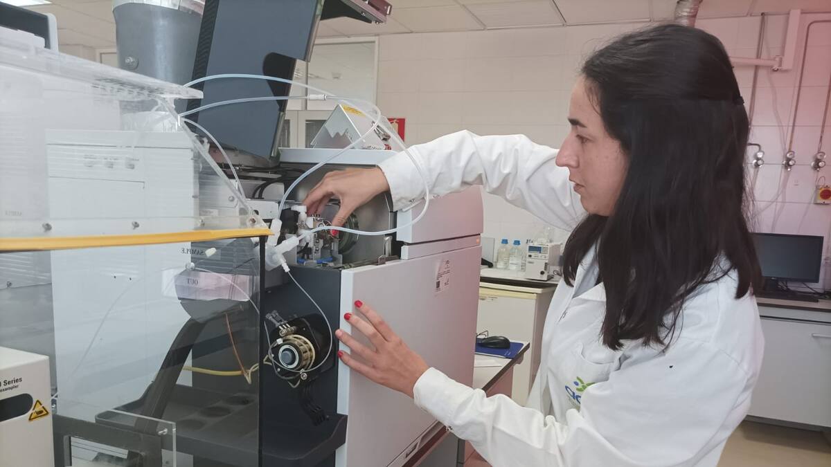 Un nuevo estudio revela que en La Rábida de Palos de la Frontera (Huelva) las emisiones de arsénico supera los niveles establecidos por la normativa europea