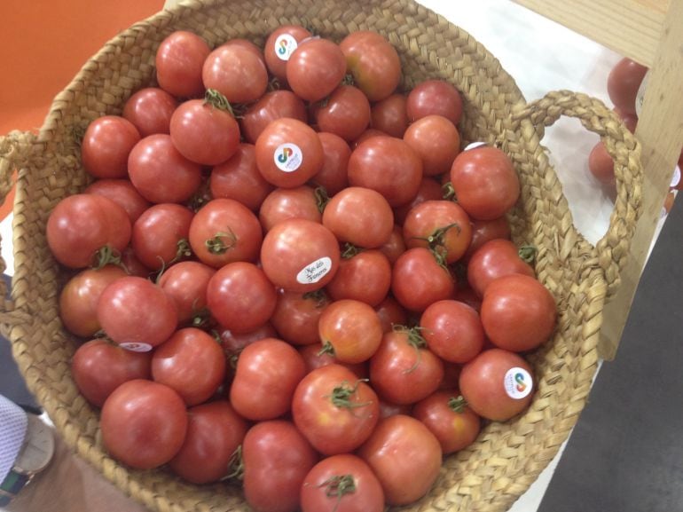 Así son los tomates de colgar antes de coserse y colgarse.