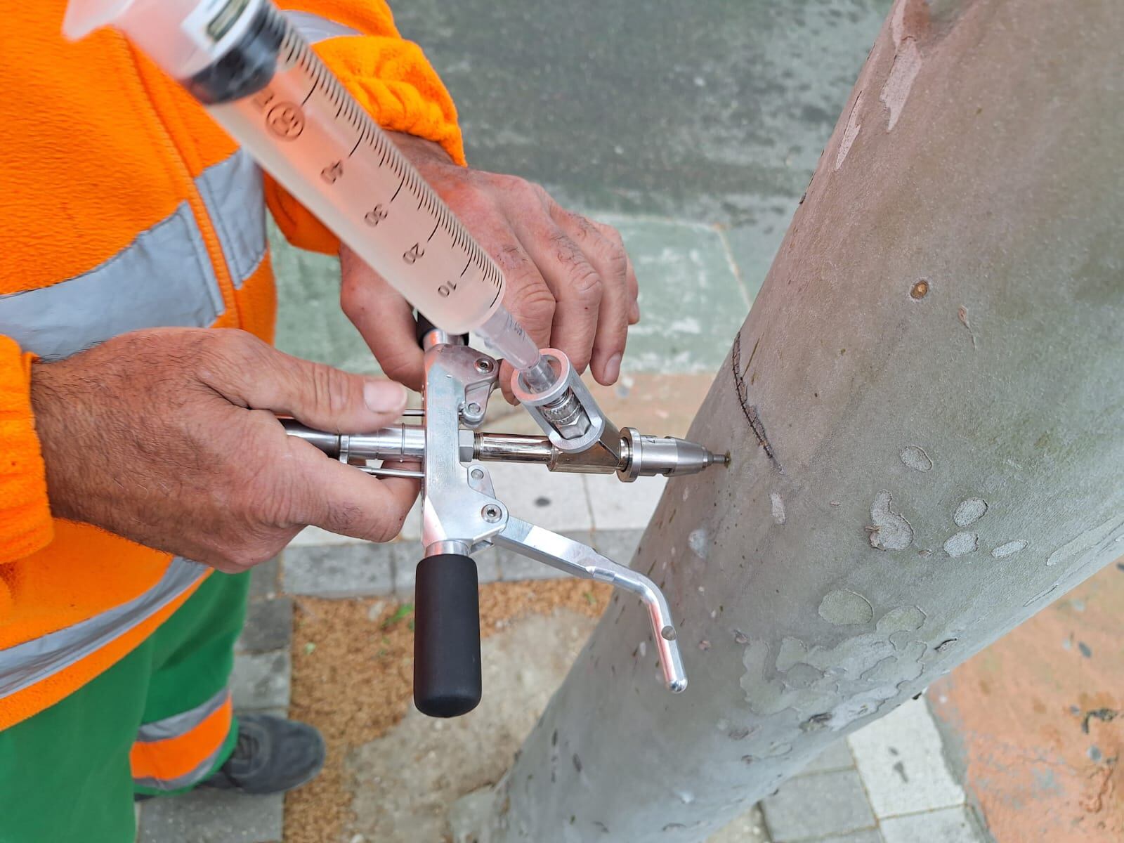 El área de Parques y Jardines del Ayuntamiento de Ontinyent ha iniciado la implantación de un nuevo sistema de tratamiento para el arbolado de los espacios públicos municipales