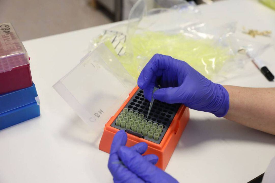 Muestras de laboratorio