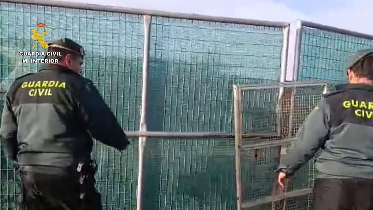 La Guardia Civil investiga a 115 personas por realizar construcciones ilegales en Dos Hermanas