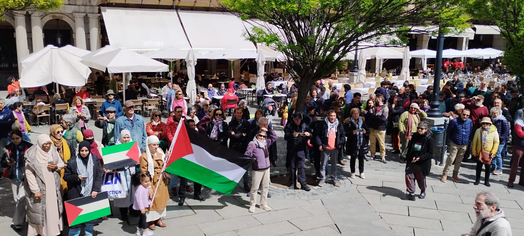 Manifestación pro Palestina en Segovia