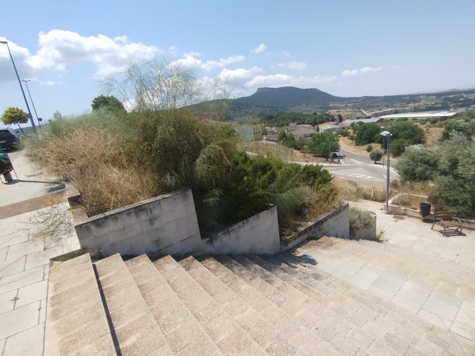 Estado de parques, jardines y zonas verdes