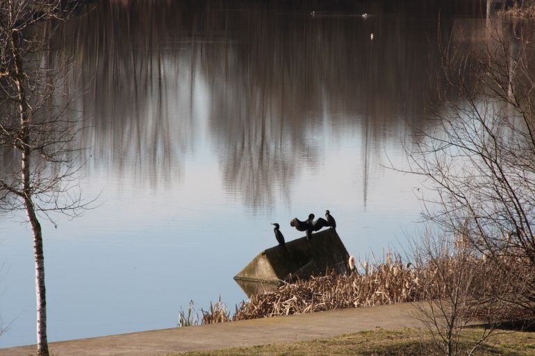Parc de les Ribes del Ter