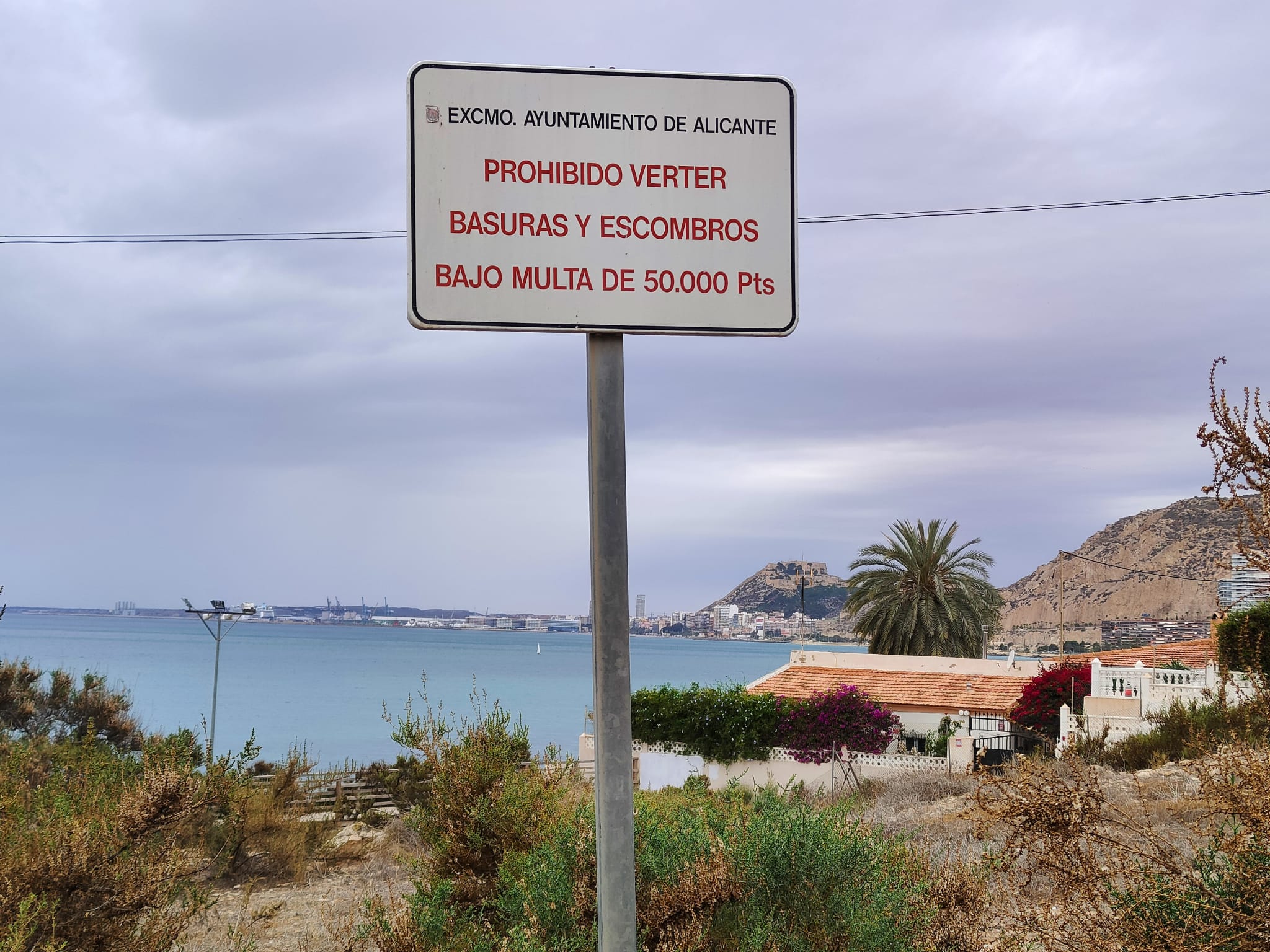 Cartel del Ayuntamiento de Alicante que todavía luce en 2024 con multas en pesetas