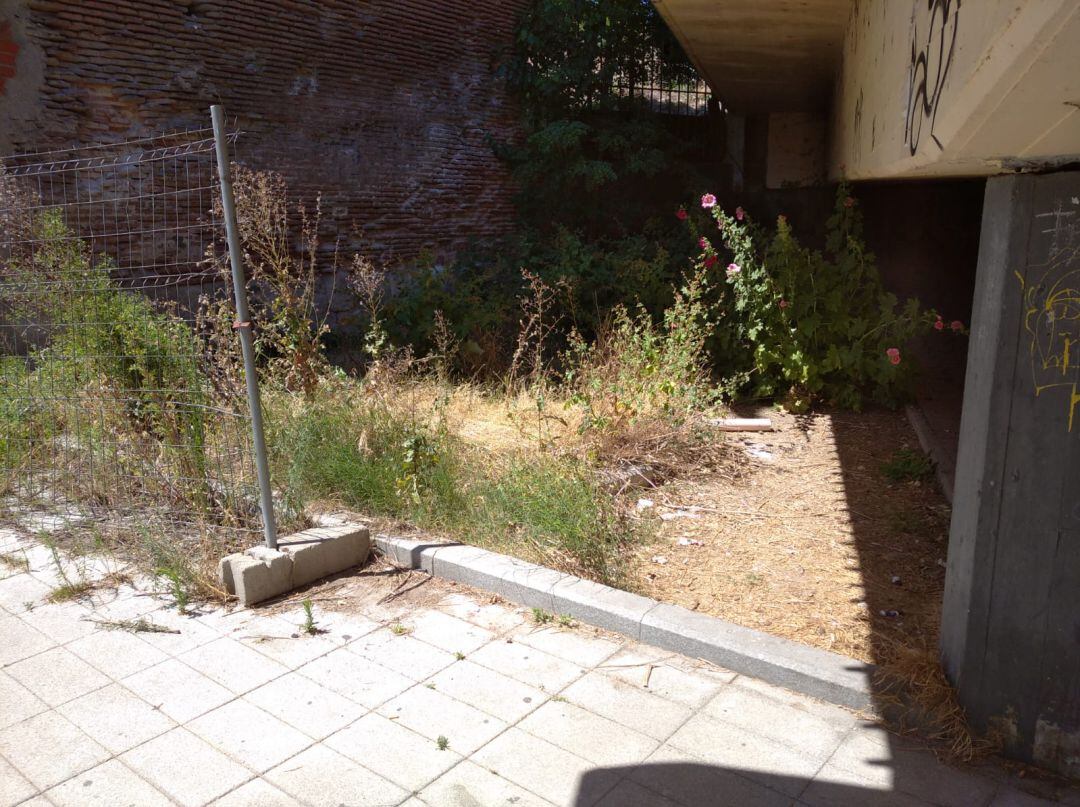 Estado en el que se encuentran las inmediaciones del puente de Hierro en Medina del Campo