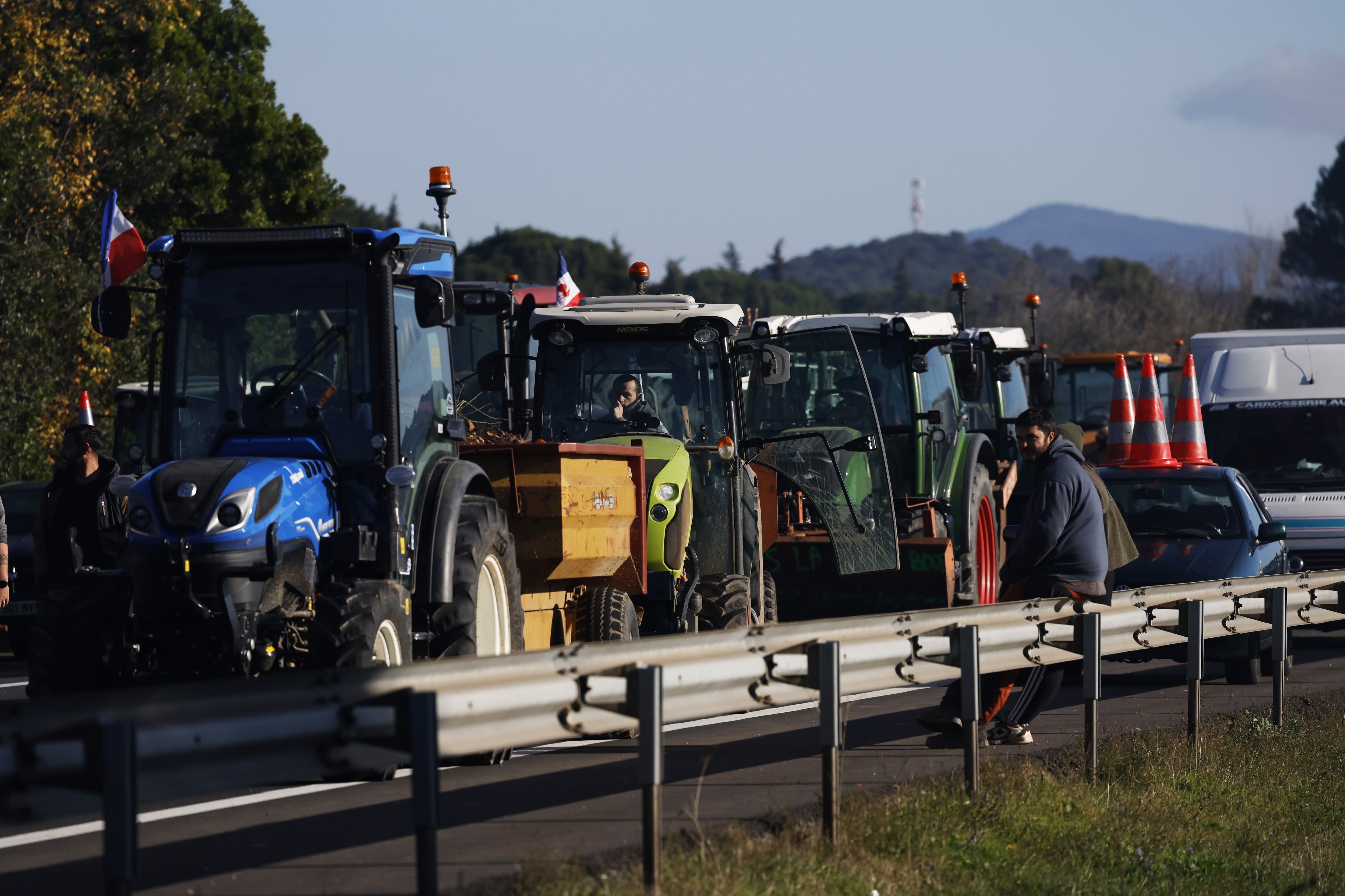 Protestes de ramaders francesos a Carcassona pel sacrifici massiu de vaques per la dermatosi nodular contagiosa