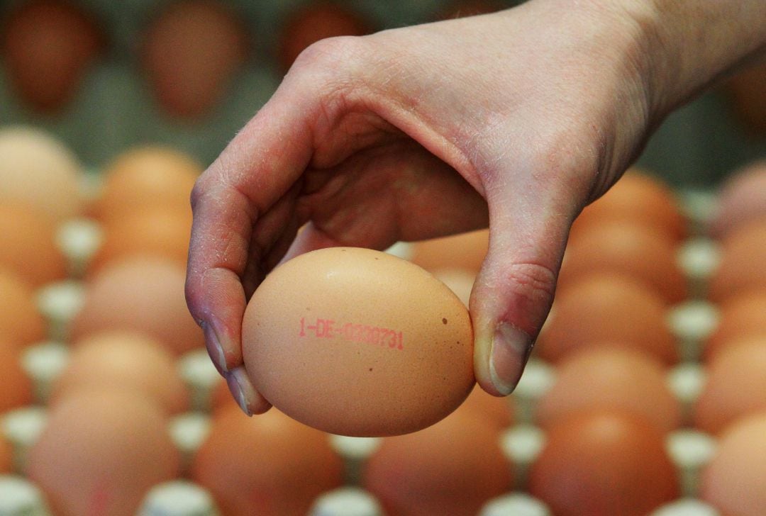 Todos los huevos que se comercializan en la UE deben llevar un código que informa sobre cómo se han criado las gallinas y la ubicación de la granja.