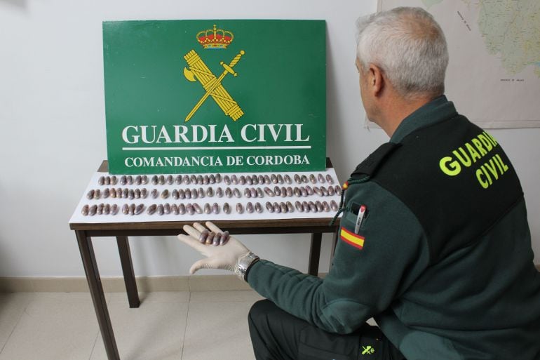 Material incautado en la operación de la Guardia Civil