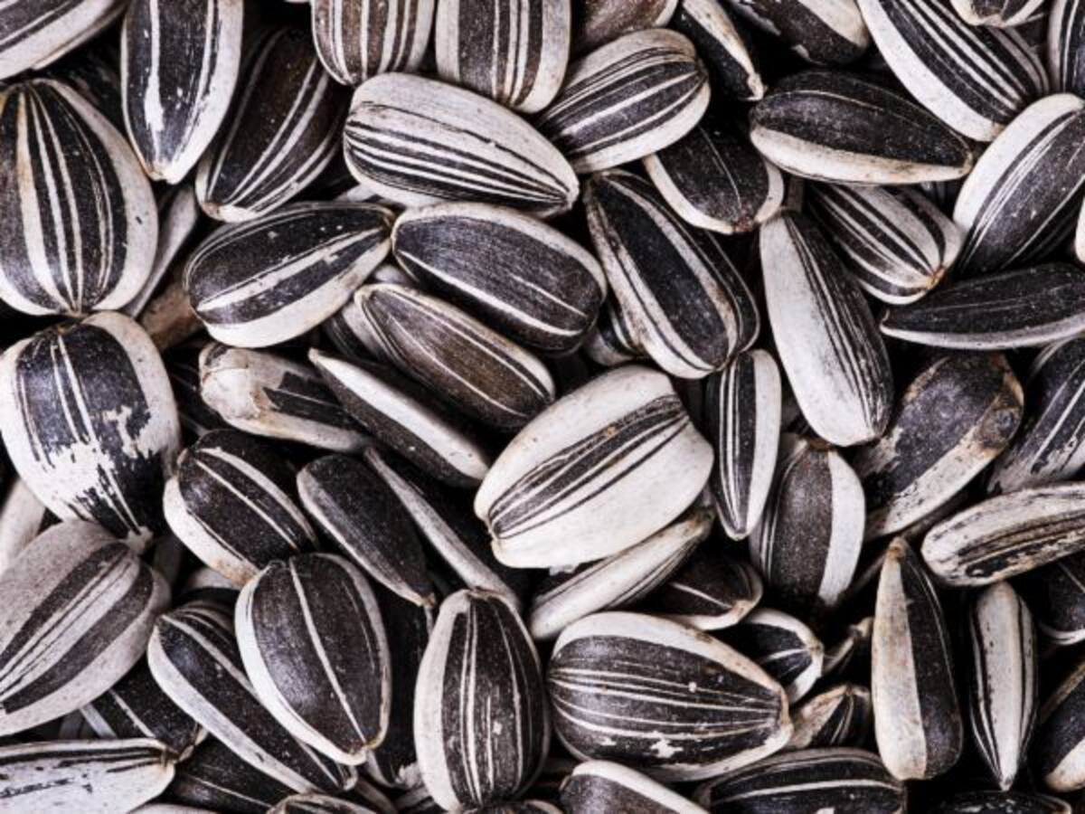 Sevilla repartirá 80.000 “pipeleras” para cáscaras de pipas en Semana Santa