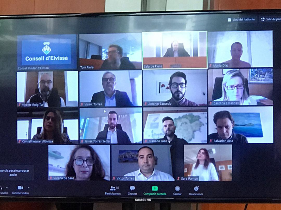 Imagen del pleno del Consell de Ibiza