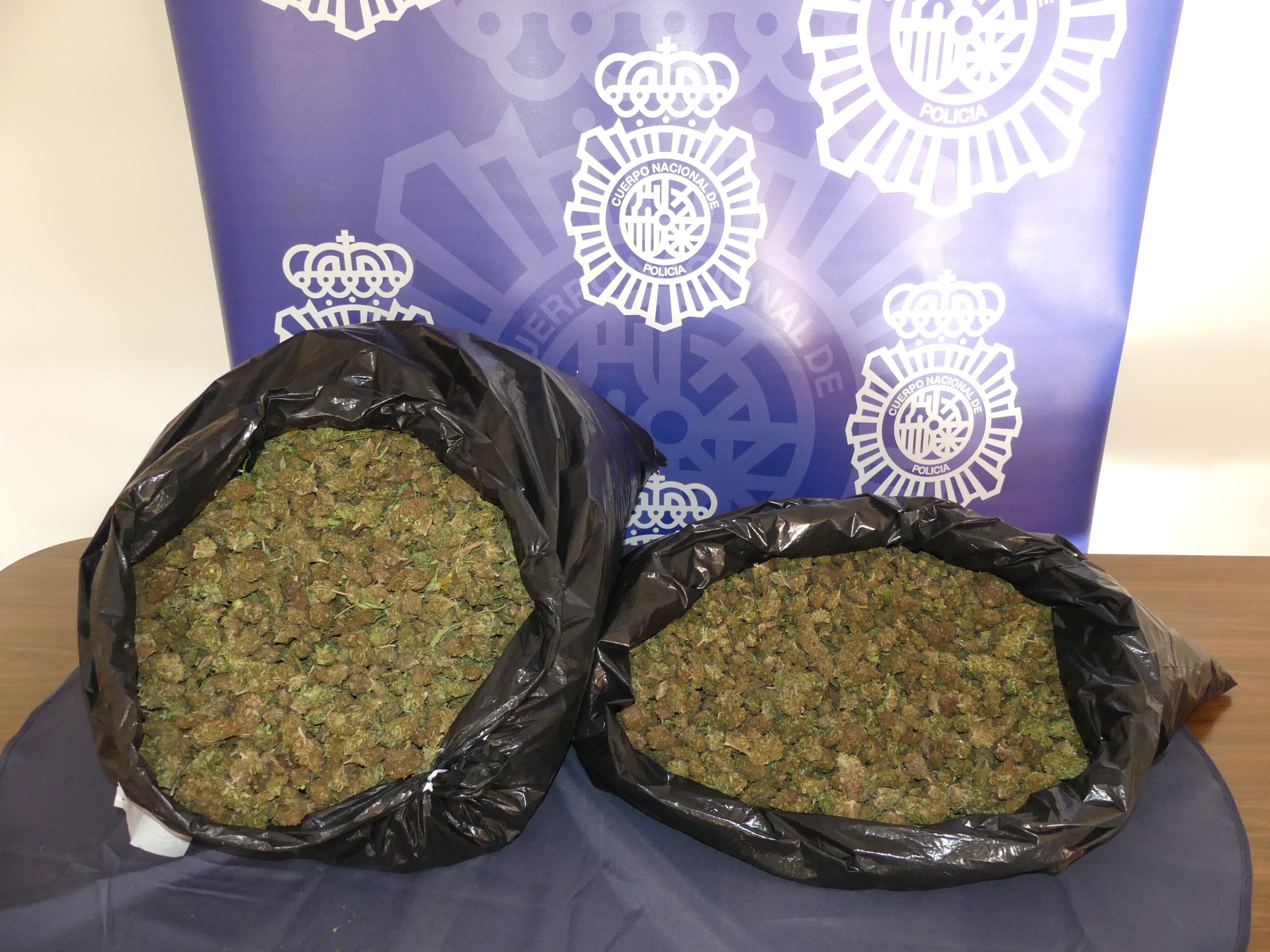 La marihuana estaba lista para su venta