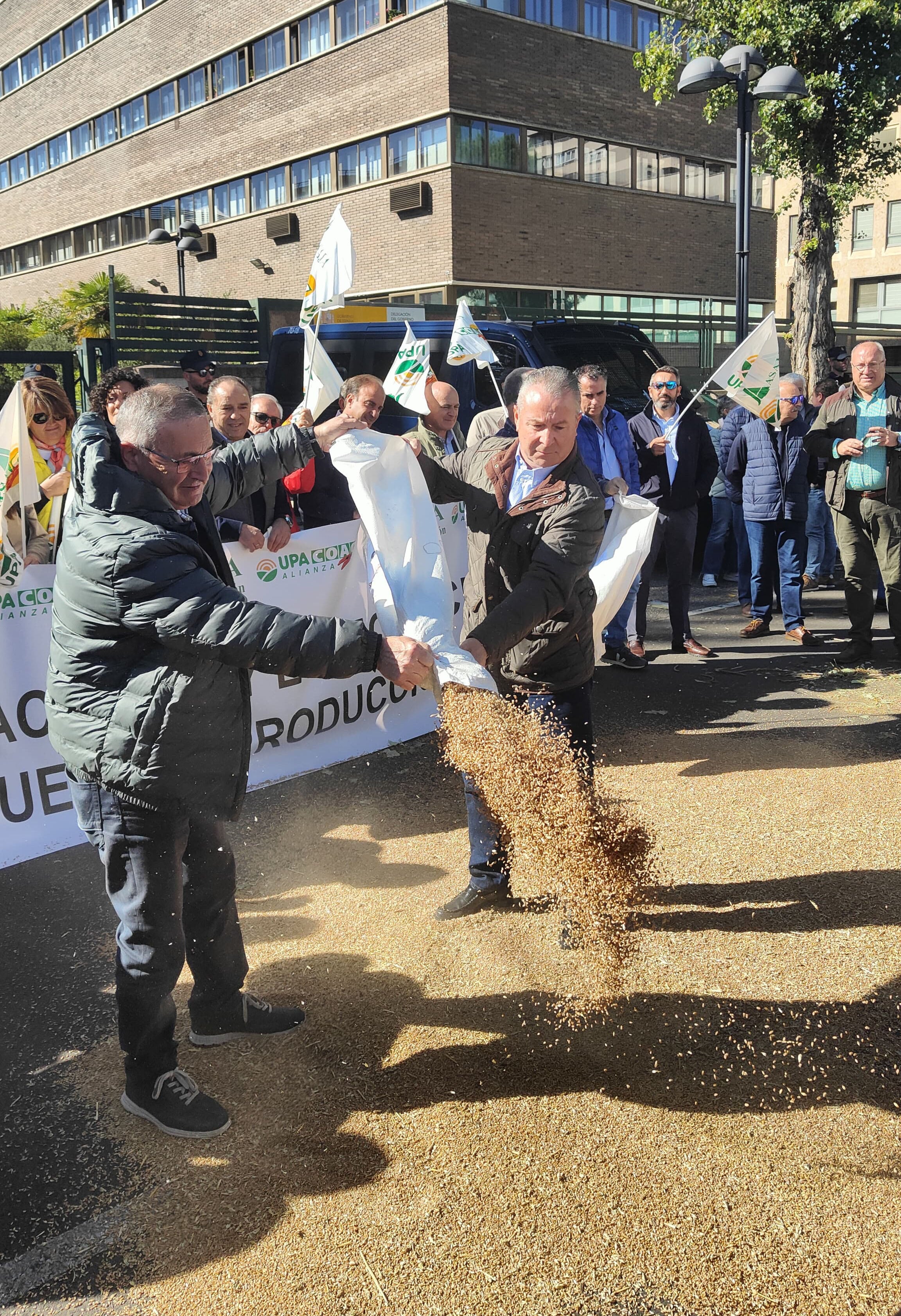 Las organizaciones profesionales agrarias Asaja y la Alianza UPA-COAG se concentran, en unidad de acción, en defensa de la agricultura cerealista.