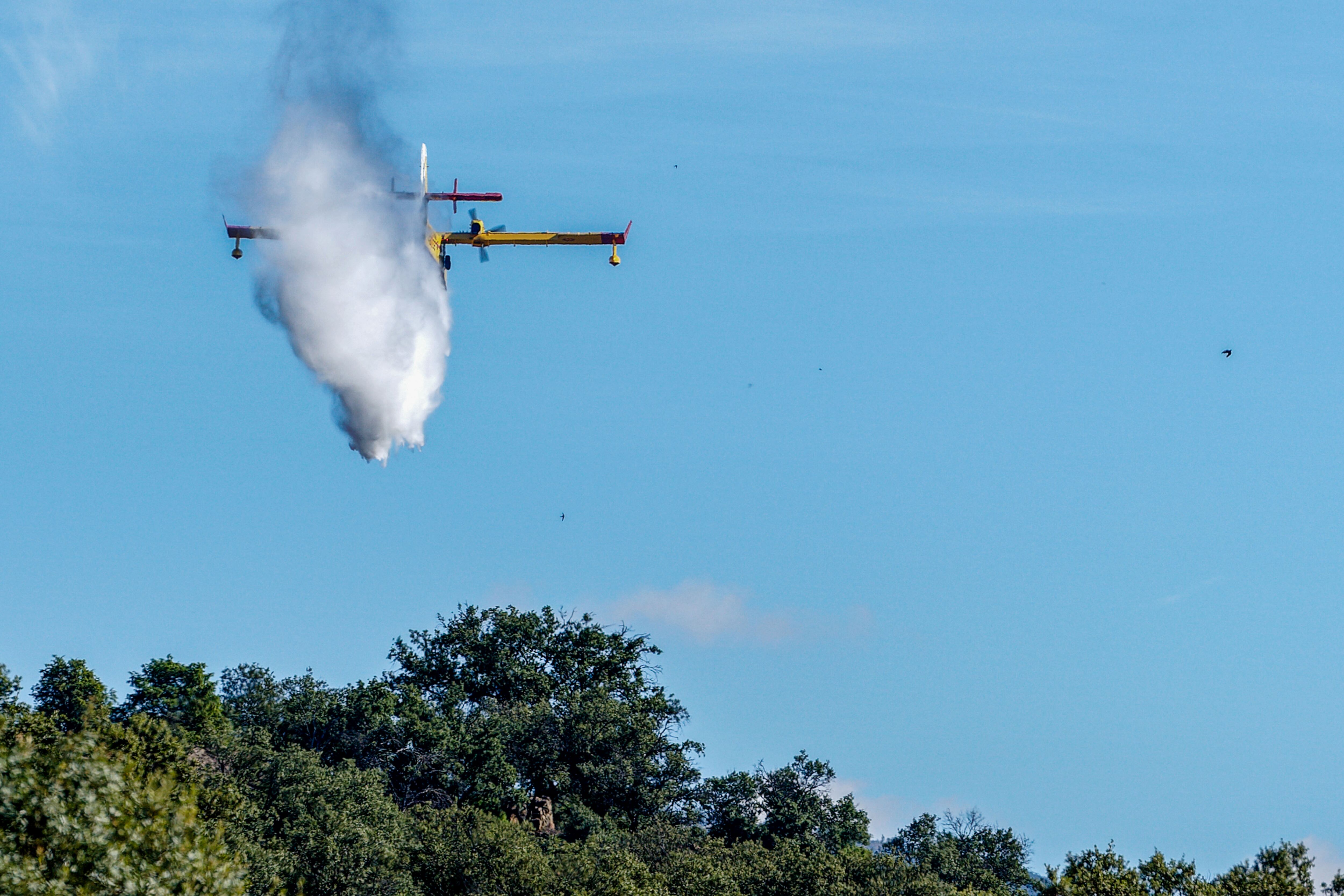 Efectivos luchan contra las llamas del incendio forestal declarado en el término municipal de Navaluenga (Ávila), este sábado.