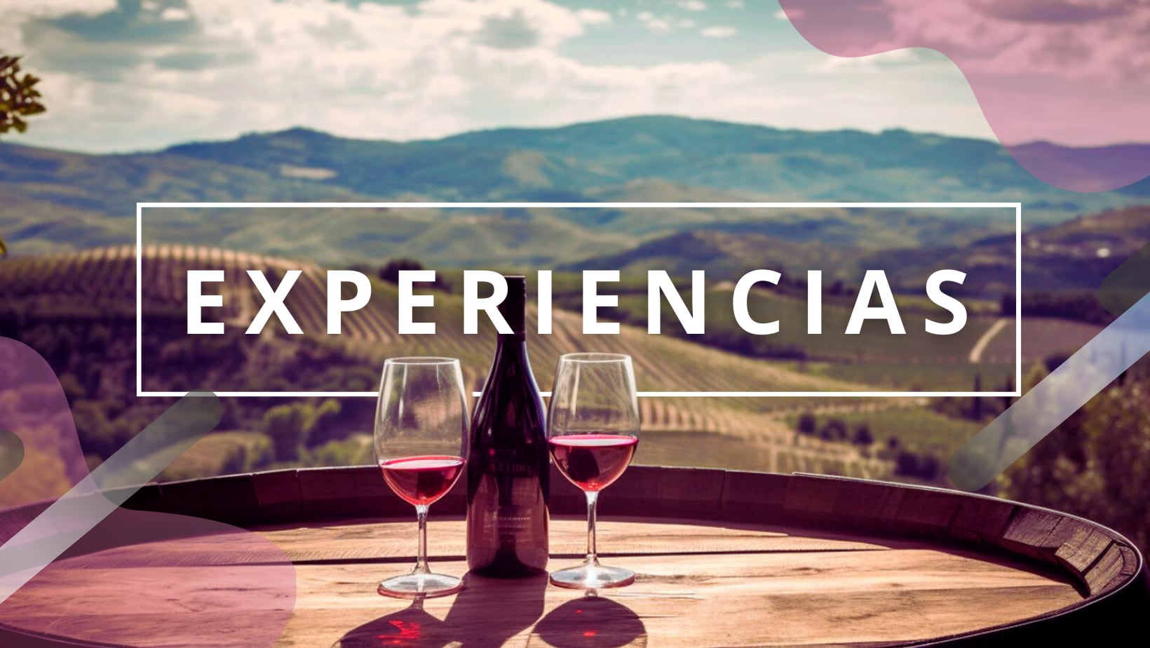 Experiencias en la Ruta del Vino &quot;La Manchuela&quot;