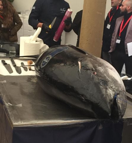 Atun rojo &#039;ronqueado&#039; hoy en Canena