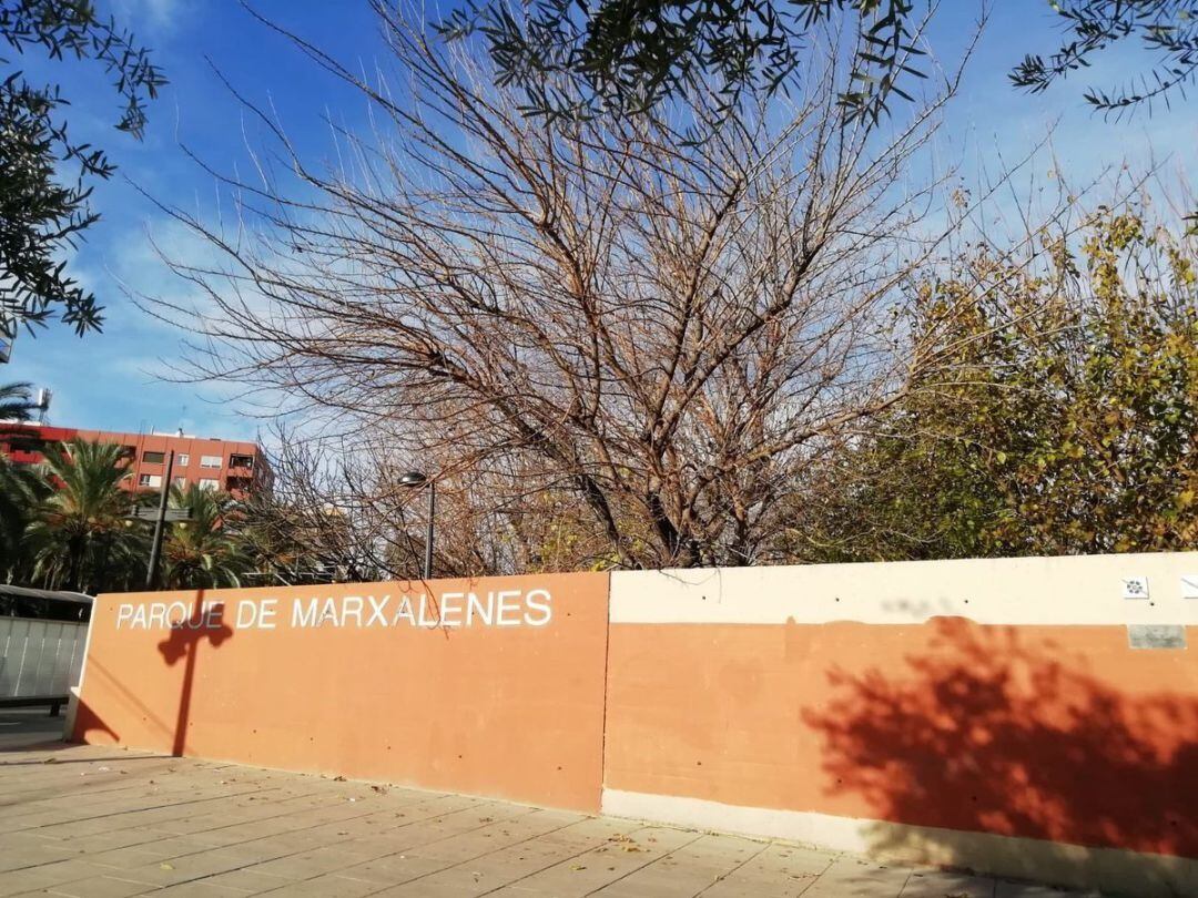 Parque de Marxalenes