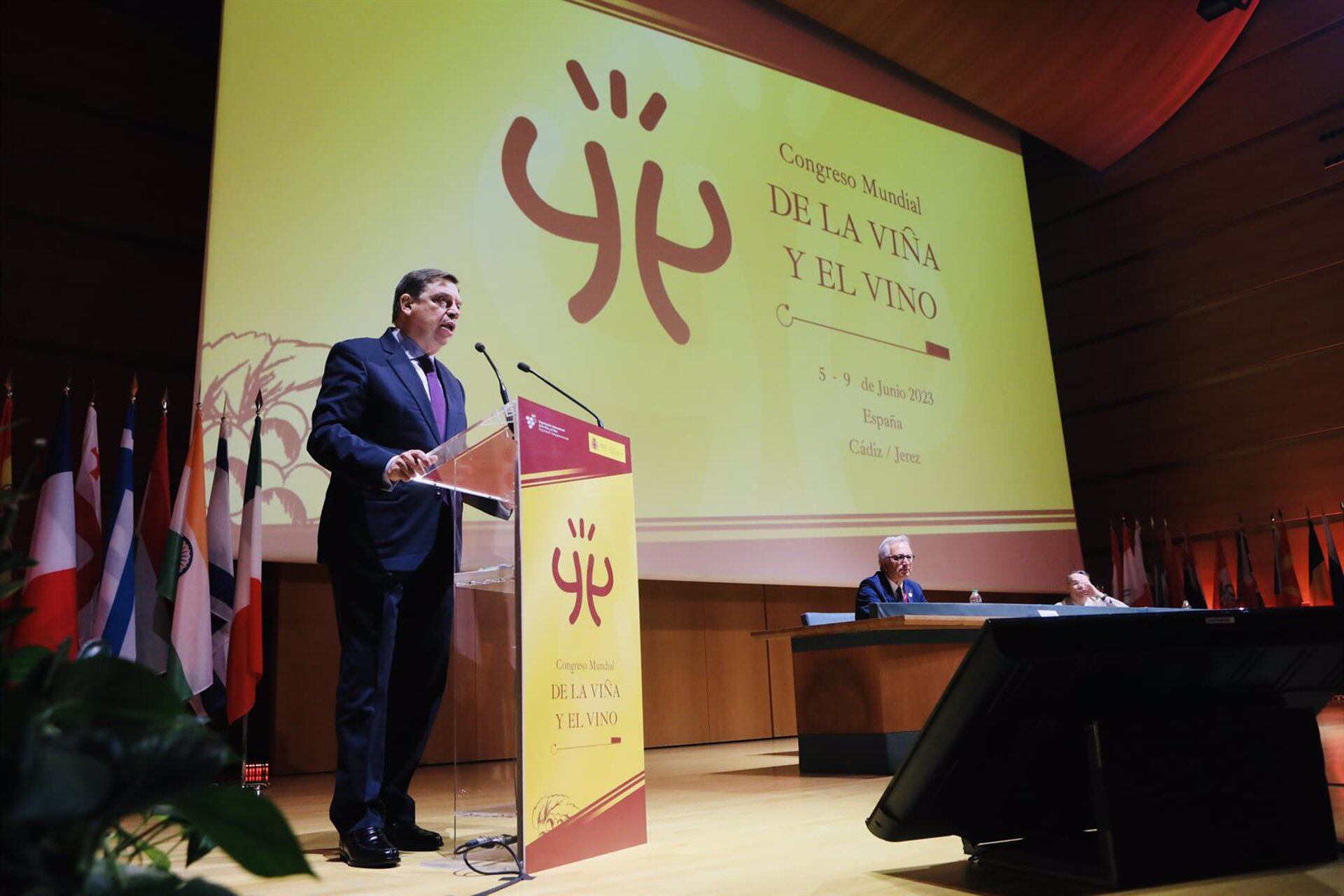 Luis Planas durante la apertura del Congreso de la Viña y el Vino