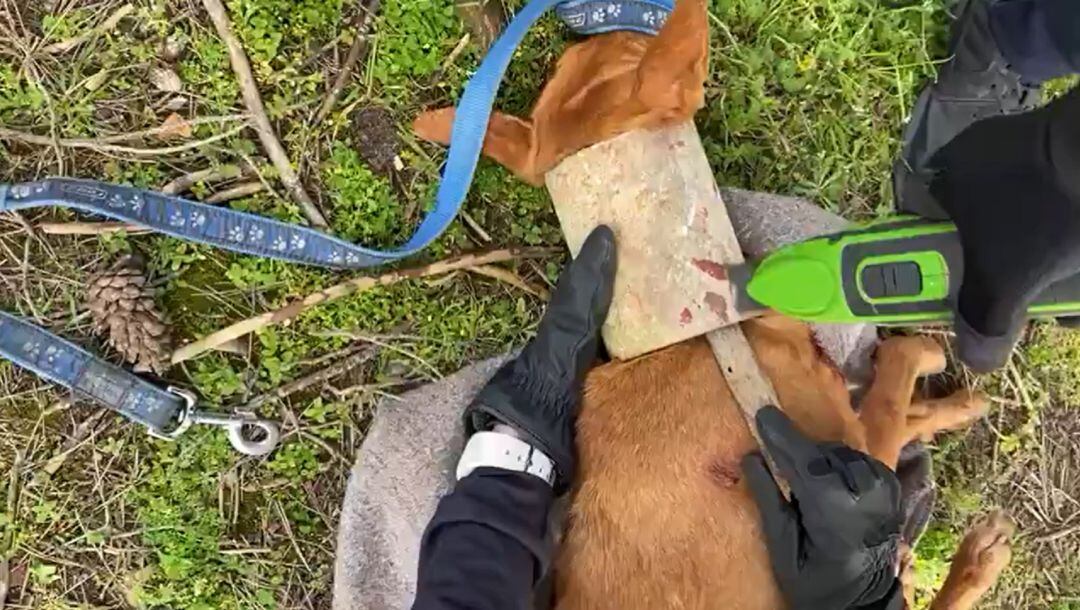 La policía cortó el tubo con una multiherramienta oscilante