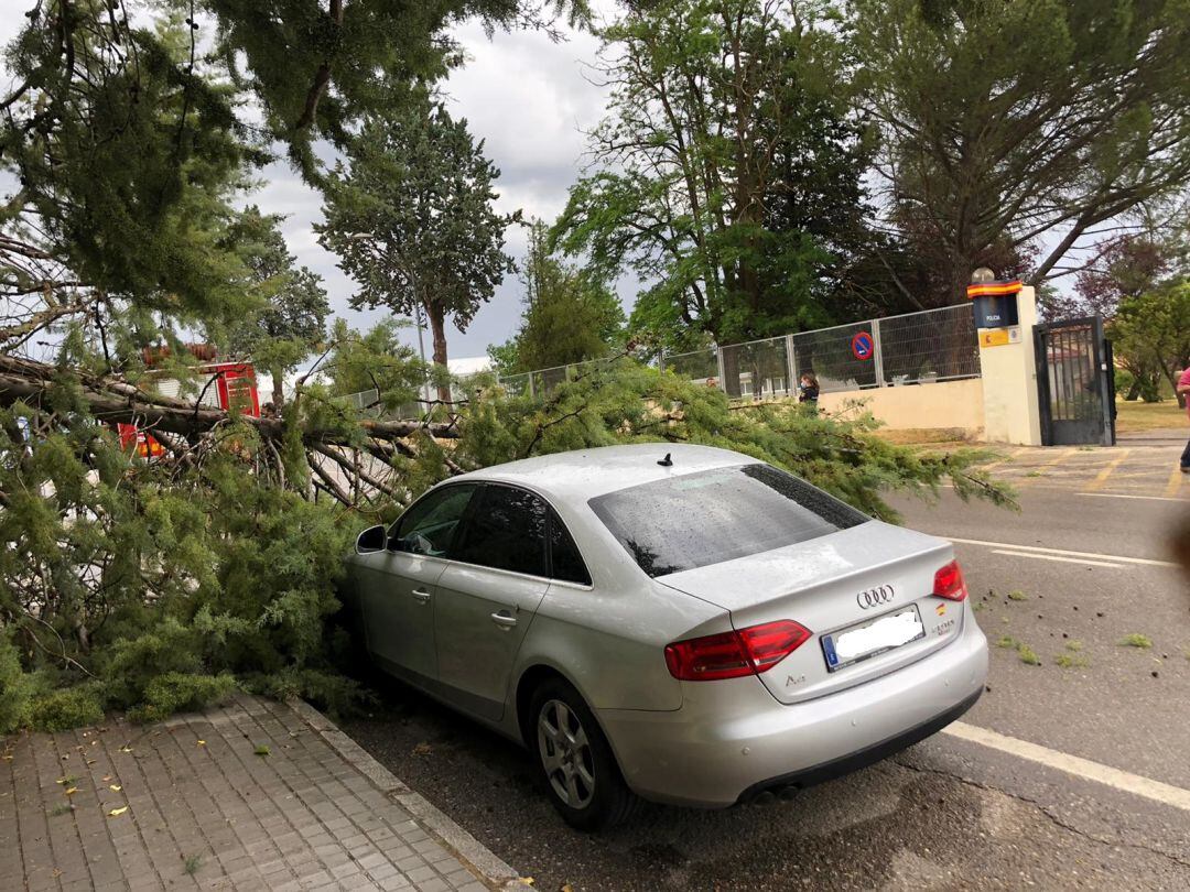 Una de las ramas de gran tamaño caía sobre un automóvil estacionado frente a la Comisaría de la Policía Nacional