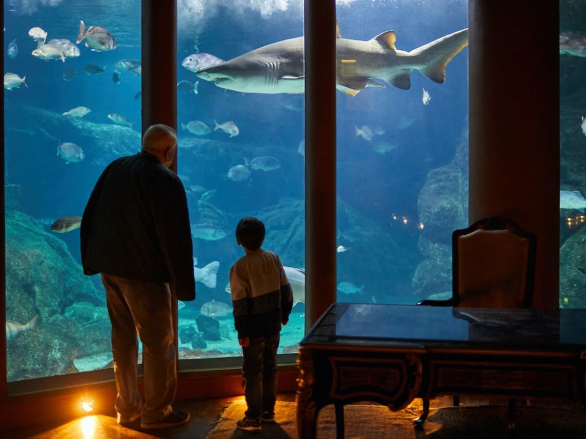 El vínculo entre cuidador y tiburón: la historia de Gastón en A Coruña