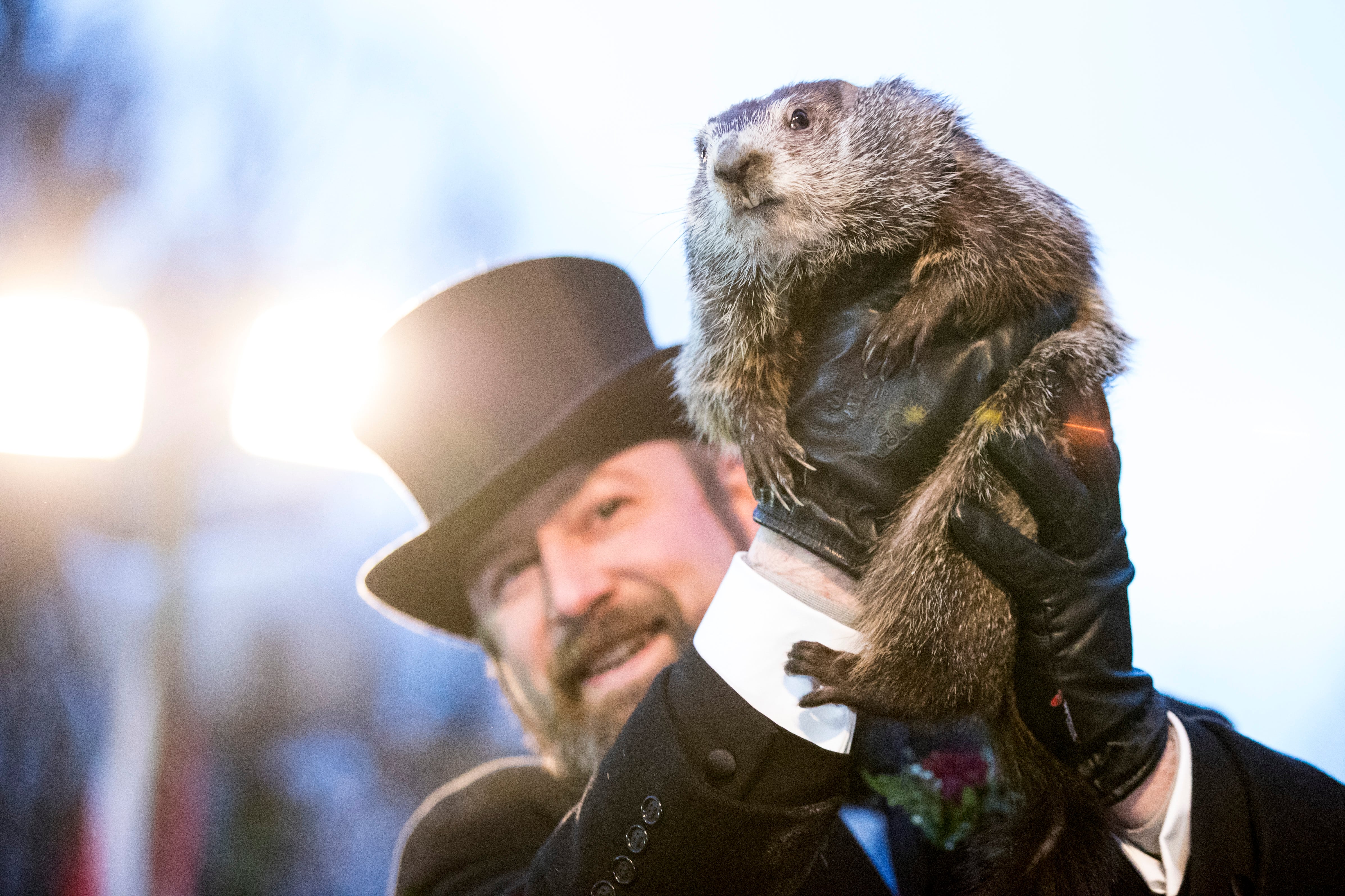 Día de la marmota