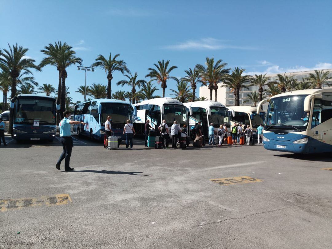 Empresas de transporte de viajeros en el aeropuerto de Palma.