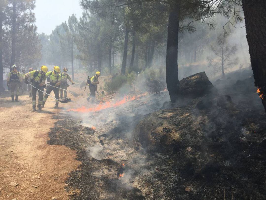 Incendio forestal
