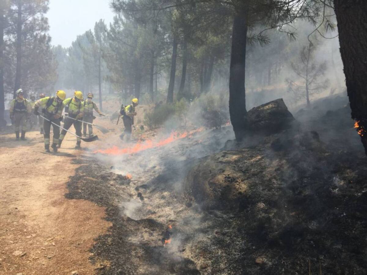 Hoy ha comenzado la época de peligro alto de incendios forestales con dos agentes medioambientales más