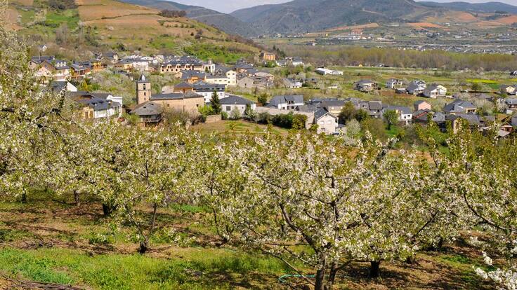 Viajando por León - Explosión de color en el Jerte leonés (18/03/2021)