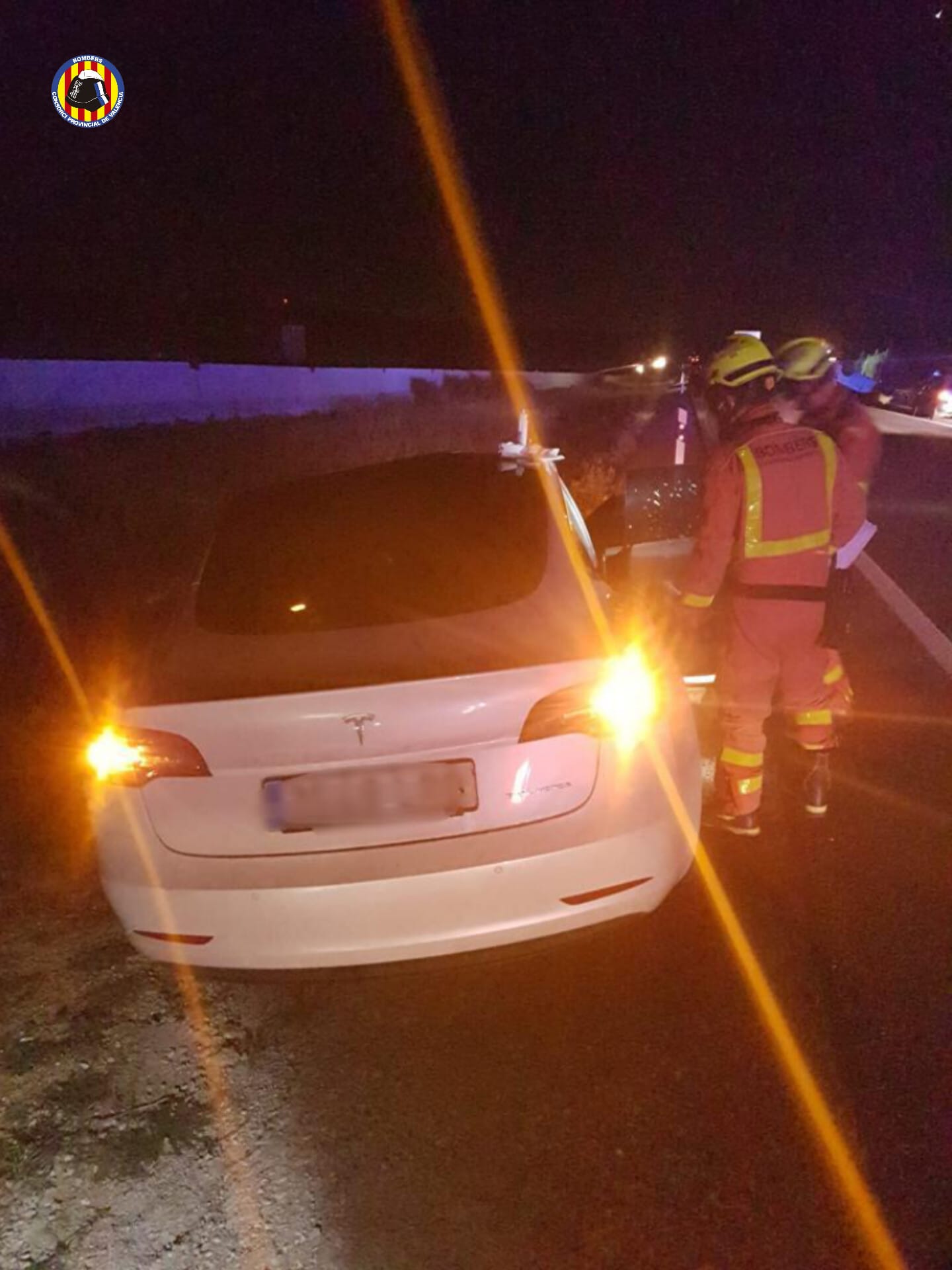 Mueren 2 caballos tras colisionar con ellos un camión y dos turismos en A-3 en Siete Aguas.