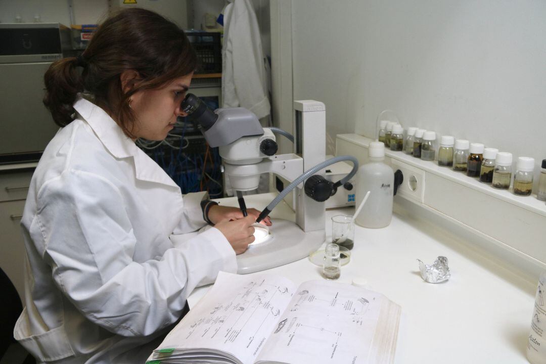 Los estudiantes en prácticas, pendientes de las decisiones que se vayan adoptando.