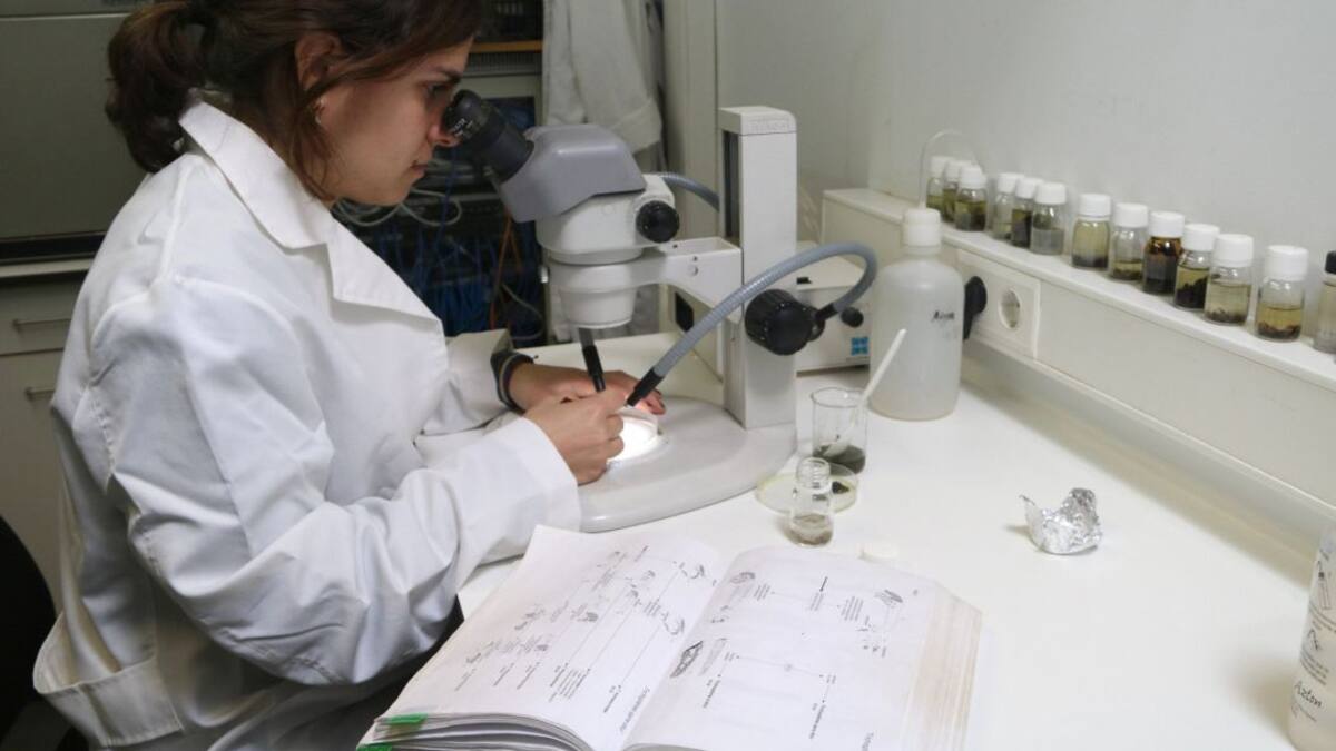 Aviso de la USAL a los estudiantes en prácticas en hospitales: 'no acudáis desde mañana hasta próximo aviso'