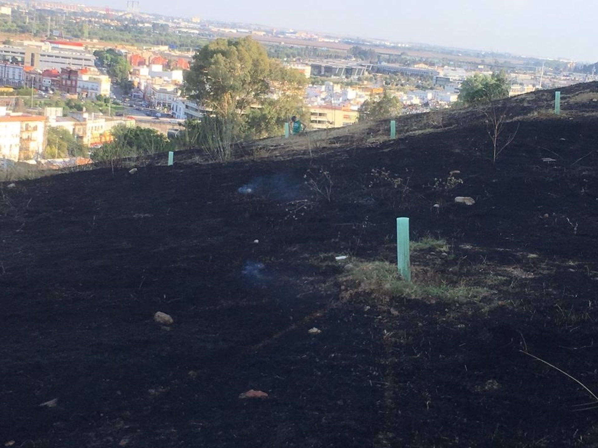 Zona de incendio en la ladera del Carambolo/ Sevilla Más Verde