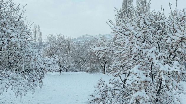 Buen espesor de nieve acumulado en zonas como en Inazares, pedanía de Moratalla.