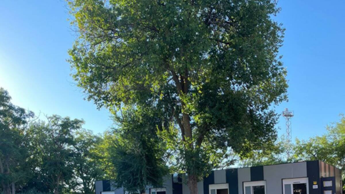 Charlamos con el director de la DAT SUR de educación sobre el inicio del curso