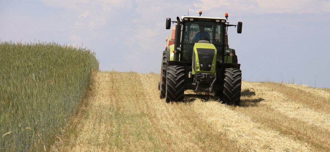 Preocupaba especialmente el cereal, pero también los viñedos y olivares