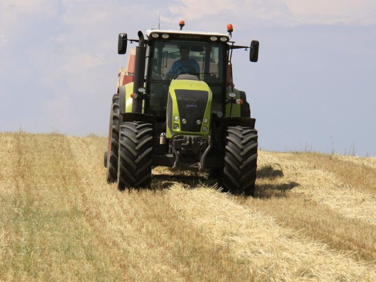 Las últimas lluvias, necesarias pero insuficientes para los campos del norte de Madrid