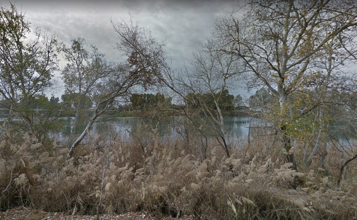 Zona de juncos del río Guadalquivir a su paso por el barrio sevillano de San Jerónimo.