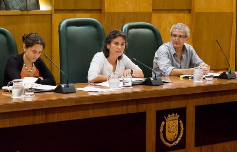 Luisa Broto en la Comisión de Derechos Sociales de este martes