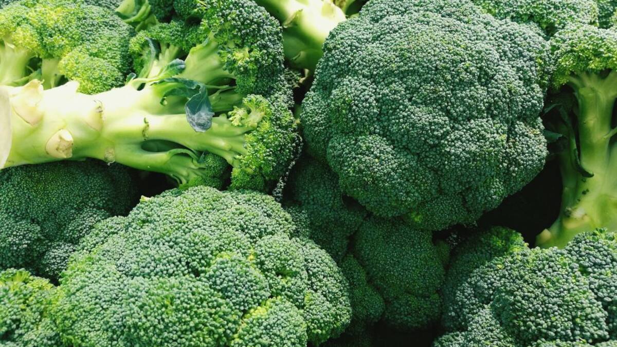 Buenos precios para el brócoli en la campaña de invierno