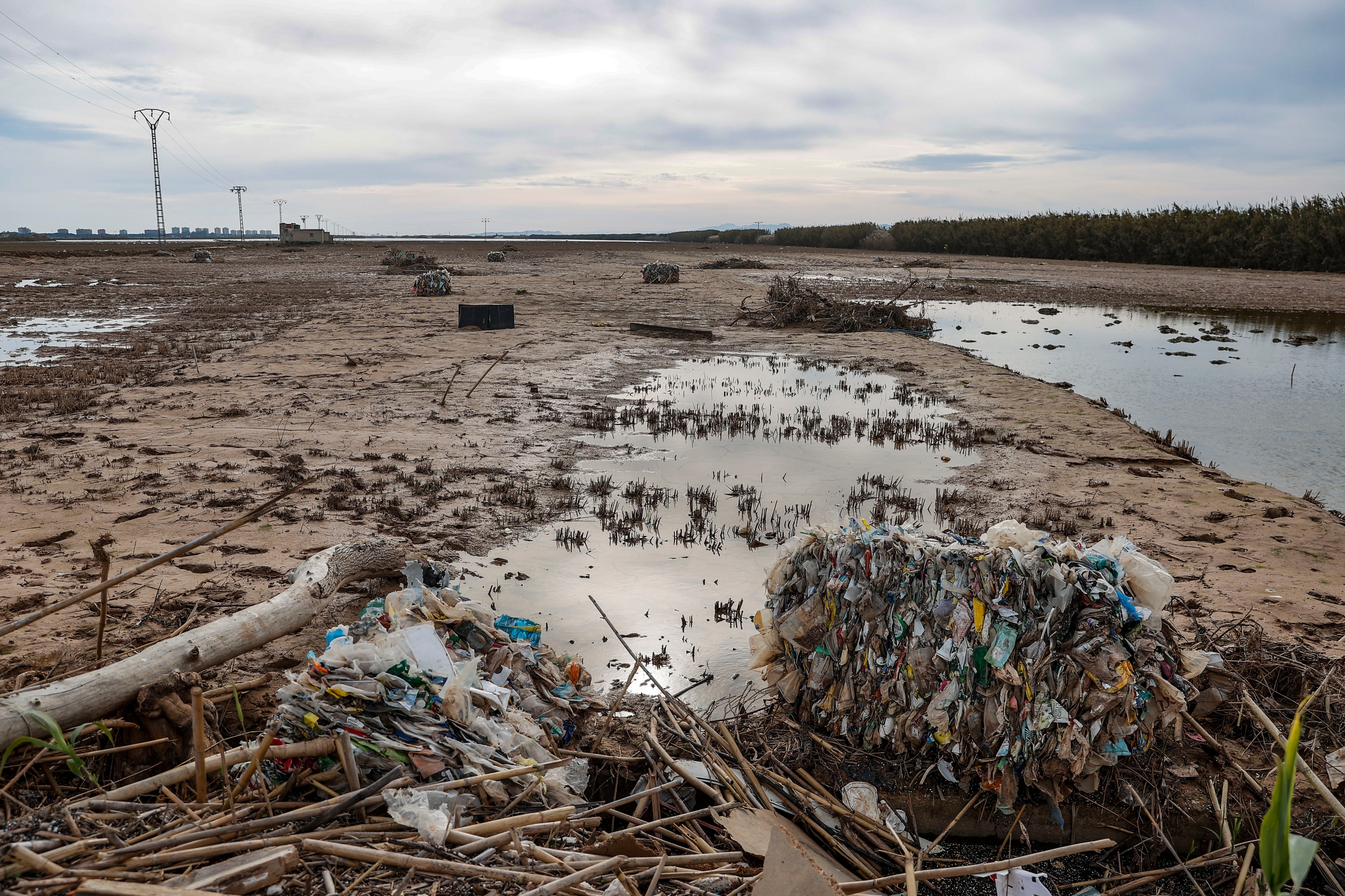 Basura llegada hasta la Albufera durante la DANA del 29 de octubre.