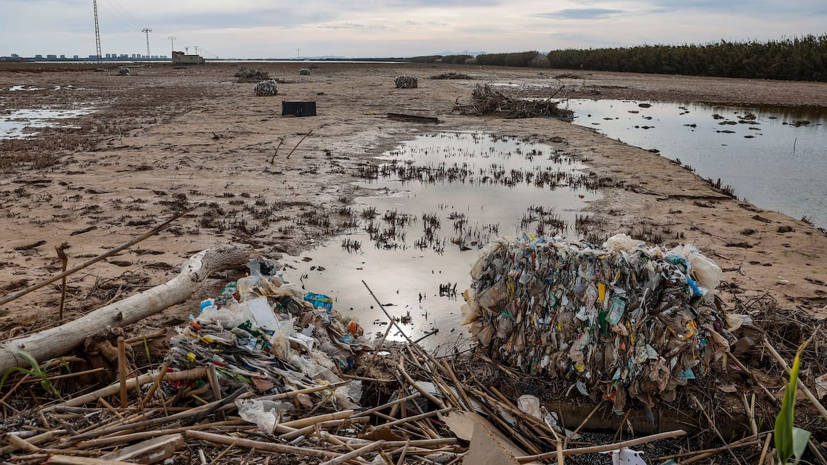 La Ventana a las 16h | Dana, Cómo está la Albufera, Hacemos números, El Mejor Panadero y Una historia viral en el día Mundial de la Voz