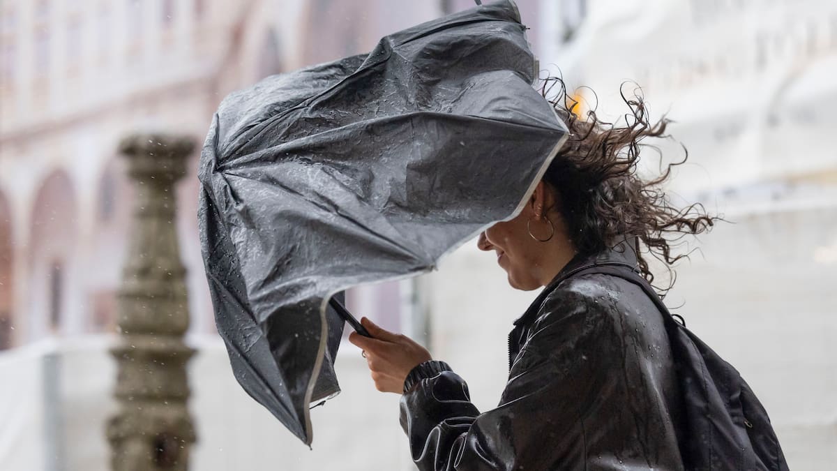 El alcalde de Vilaboa solicita que se decrete el nivel 2 de Emerxencia por no dar abasto los servicios municipales a las incidencias del tempora