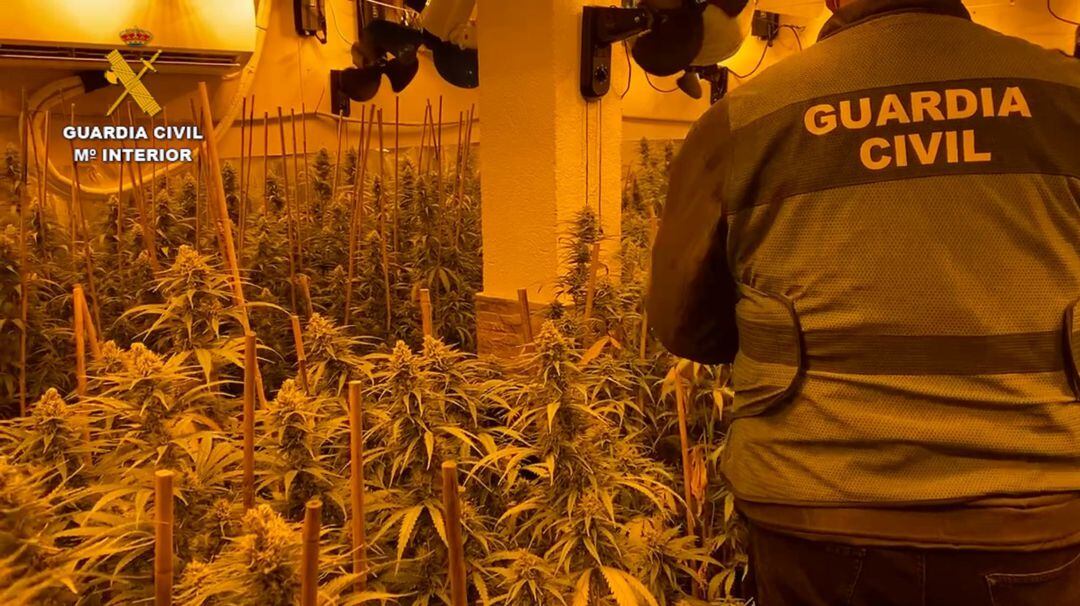 Los presuntos autores habían reformado sus garajes para albergar en su interior las plantaciones de marihuana