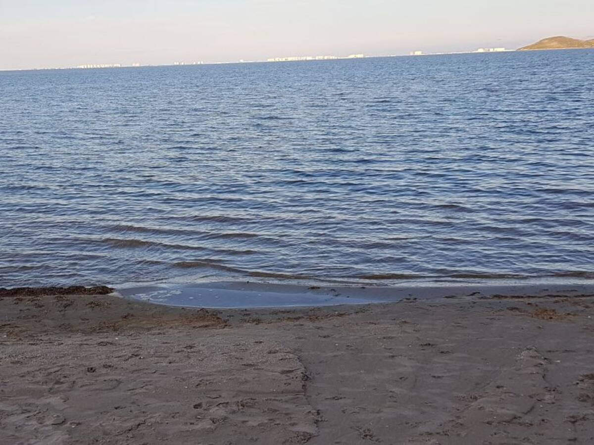 La Federación de AAVV de Cartagena y Comarca pide que no se politice la manifestación sobre el estado del Mar Menor