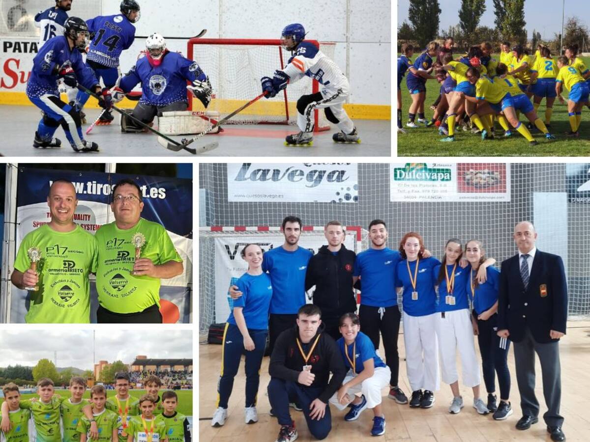 Estreno del Ribera Rugby, un campeón regional de boxeo y medallas en kárate
